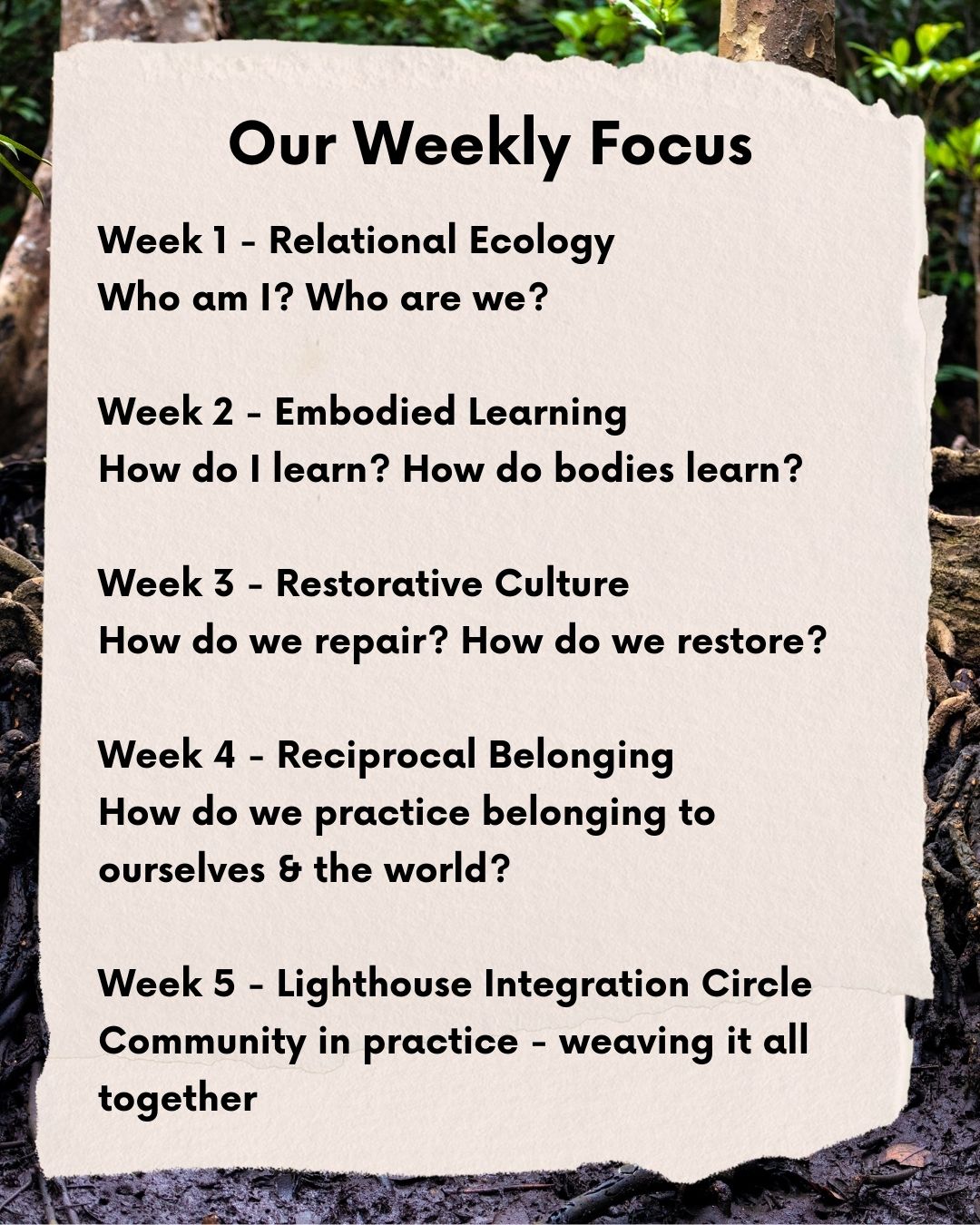 Lighthouse Learning Foundations