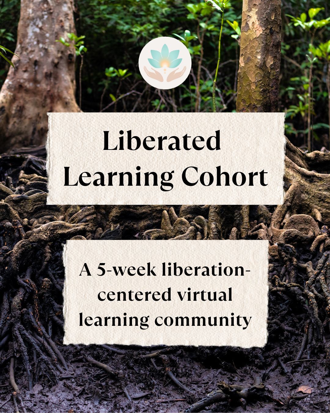 Liberated Learning Cohort