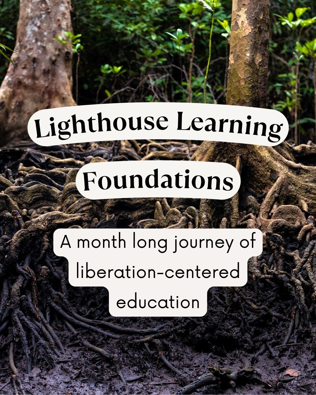 Lighthouse Learning Foundations