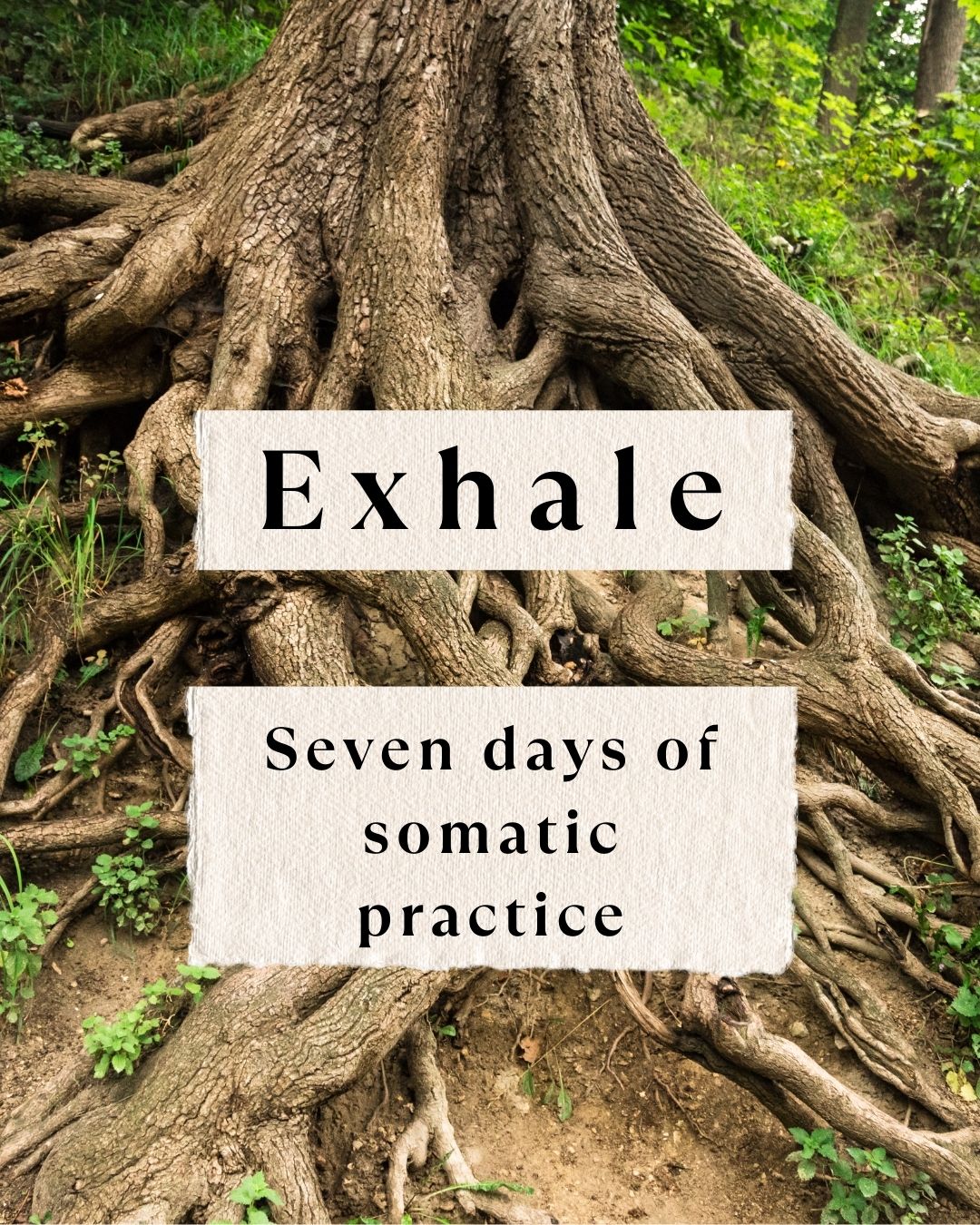 Exhale: Seven Days of Somatic Release