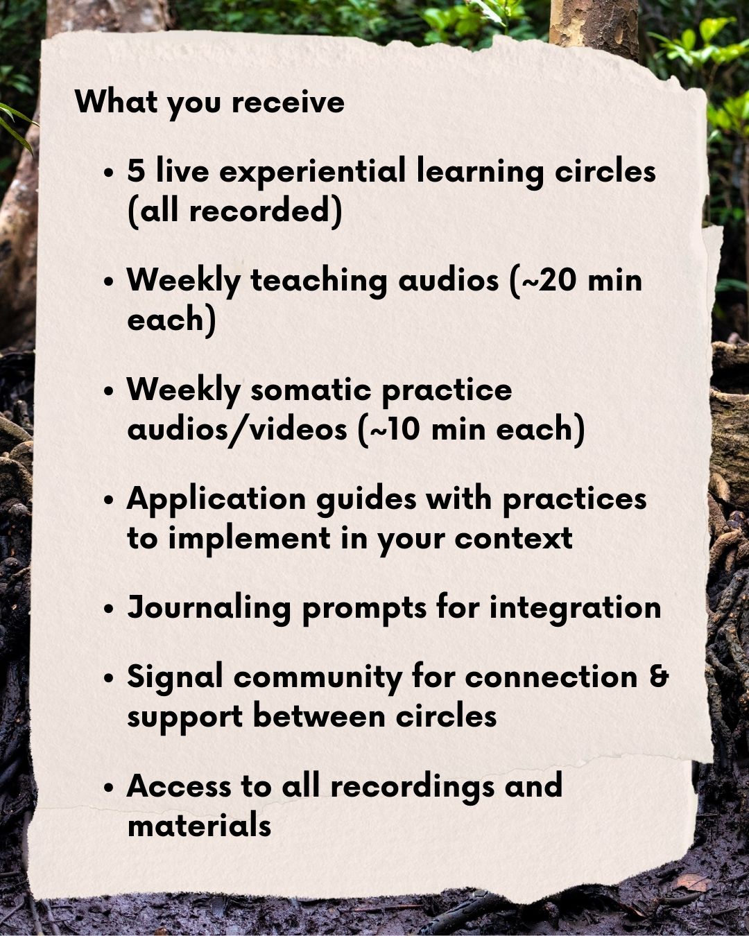 Lighthouse Learning Foundations